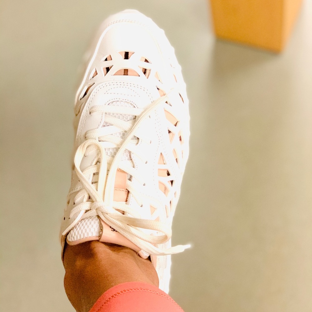 Tods sneakers